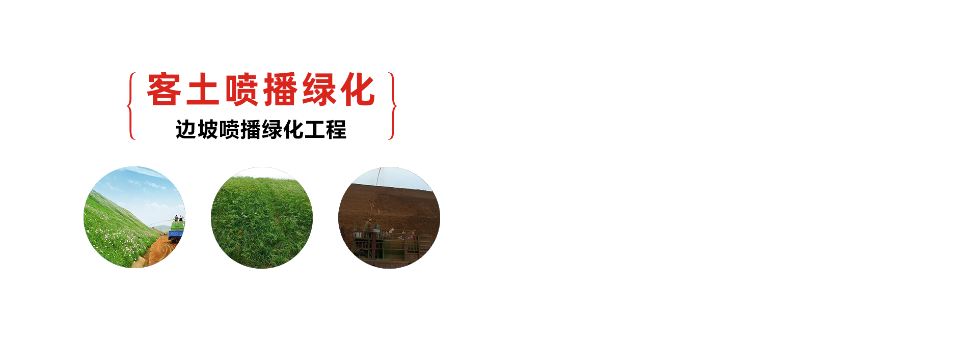 邊坡防護網-鋼絲繩網-邊坡綠化施工 - 安平縣騰旭金屬絲網制品廠